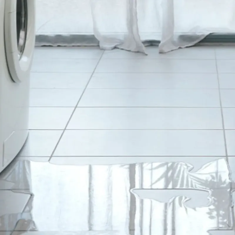 Appliance Leak Cleanup in Johnston City, IL