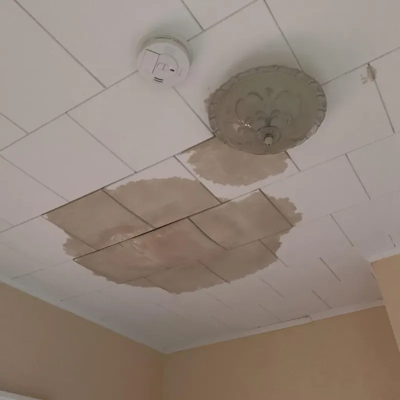 Ceiling Water Damage Repair in Johnston City, IL