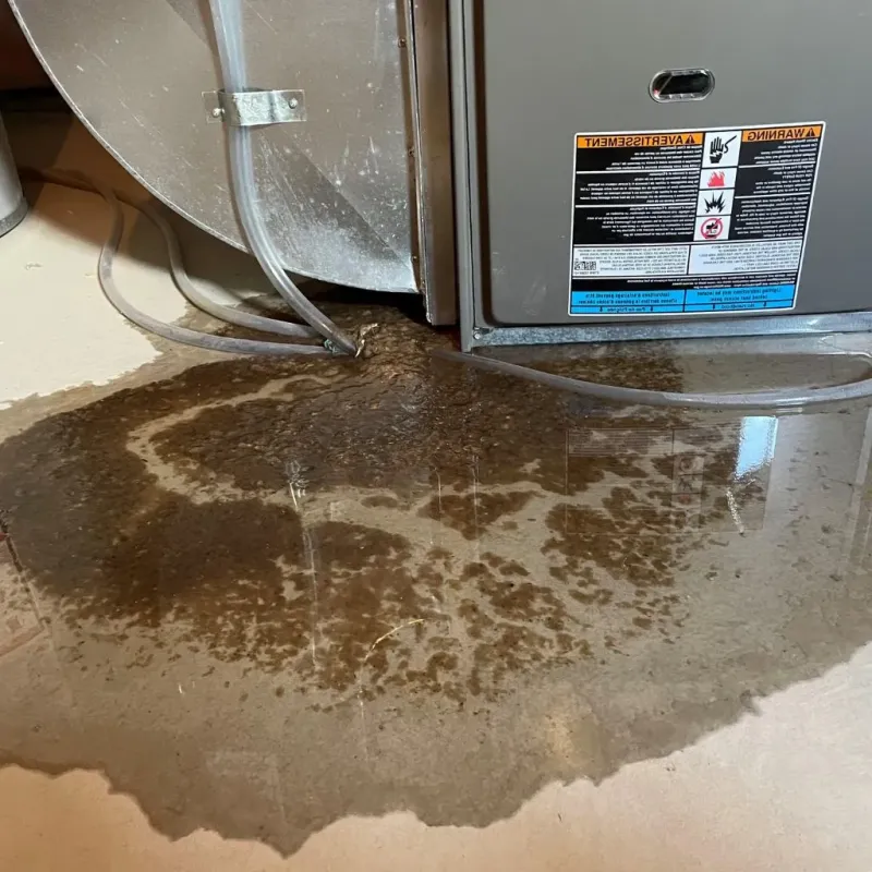 Pipe Burst and Leak Restoration in Johnston City, IL