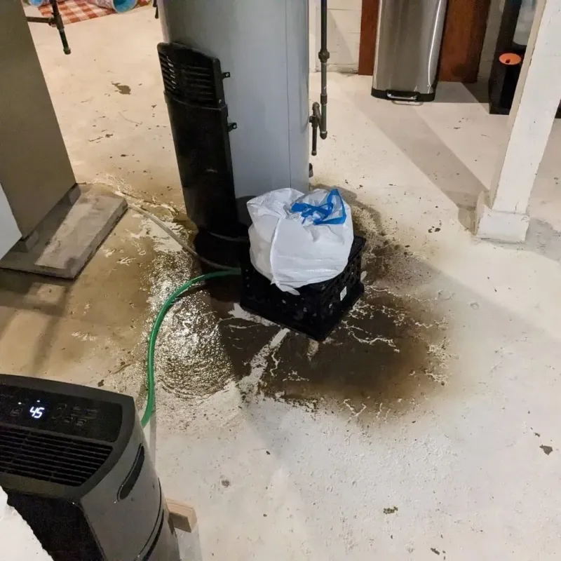 Sewage Backup Cleanup Service in Johnston City, IL